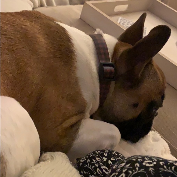 Meet your Posher, Émy-alexandra - Picture 1 of 1